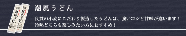 手延べ潮風うどん